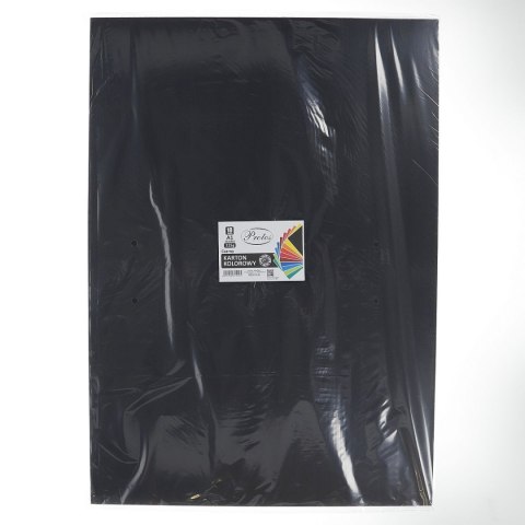 Brystol A1 czarny 225g 10k Protos