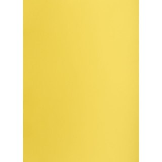 Brystol A1 żółty 160g 25k [mm:] 610x860 Creatinio (400149553)