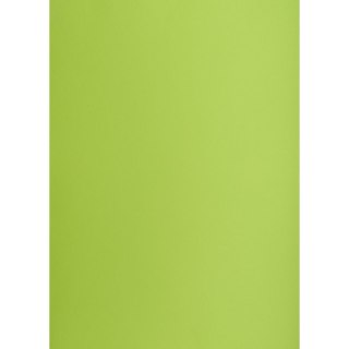 Brystol A3 jasnozielony 160g 25k [mm:] 297x420 Creatinio (400150240)