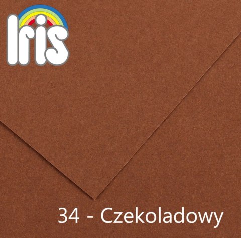 Brystol Iris 34 A3 czekoladowy 185g 50k [mm:] 297x420 Canson (200040213)