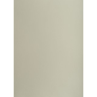 Brystol SZARY B1 SZARY 225g 25k Creatinio (400150254)