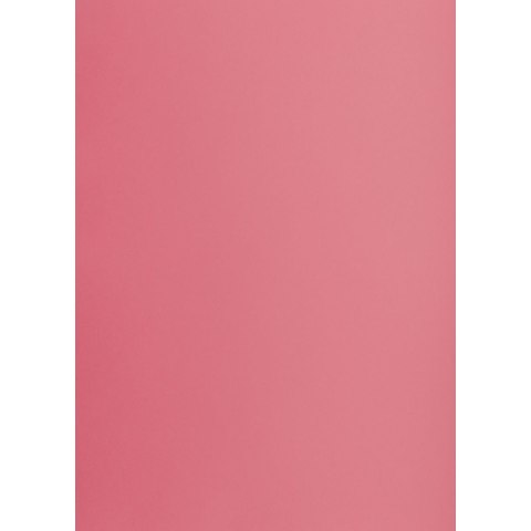 Brystol różowy B1 różowy 225g 1k Creatinio (400150260)