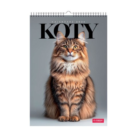 Kalendarz ścienny 16 stron wieloplanszowy A3 Press (KOTY)