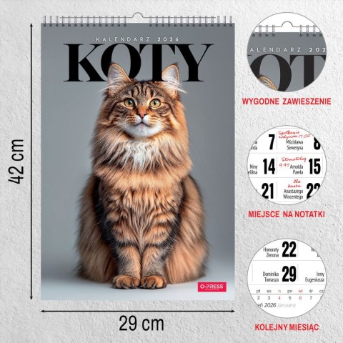 Kalendarz ścienny 16 stron wieloplanszowy A3 Press (KOTY)