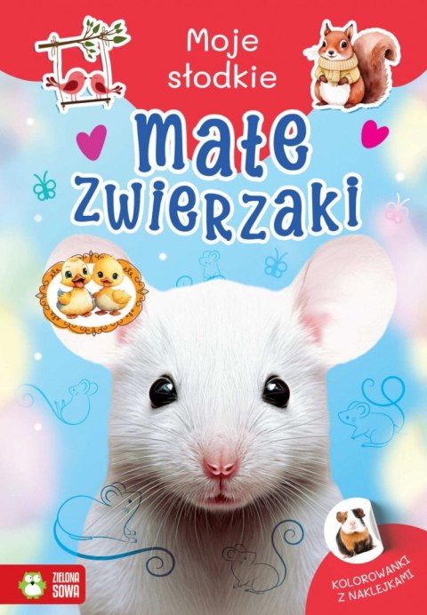 Książeczka edukacyjna Moje słodkie zwierzaki. Małe zwierzaki Zielona Sowa
