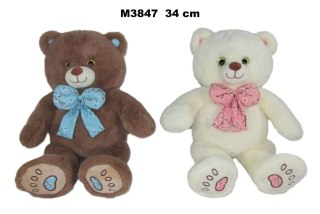 Pluszak miś 2 kolory [mm:] 340 Sun-Day (172761)