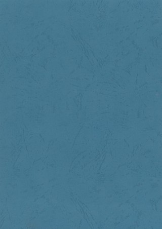 Karton do bindowania A4 skóropodobny niebieski 250g Titanum