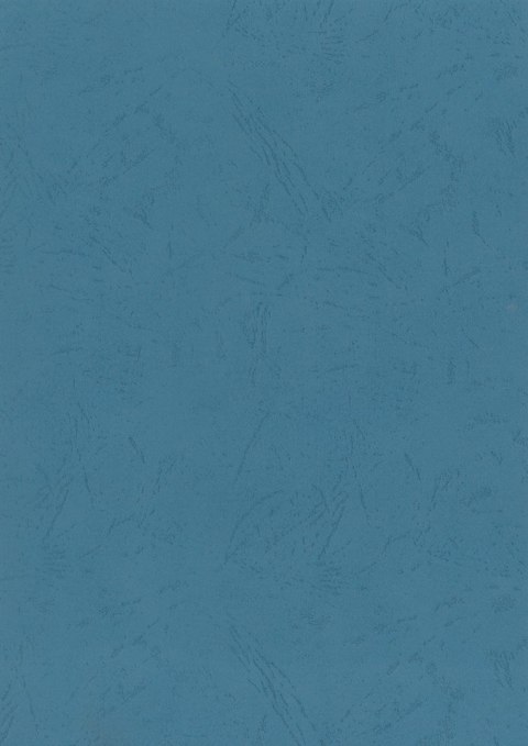 Karton do bindowania A4 skóropodobny niebieski 250g Titanum