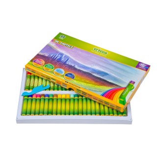 Pastele olejne 24 kol. Cricco (CR481K24/A/A)