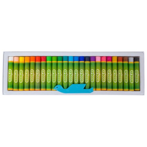 Pastele olejne 24 kol. Cricco (CR481K24/A/A)