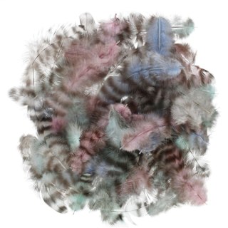 Piórka mix Craft With Fun (545789)