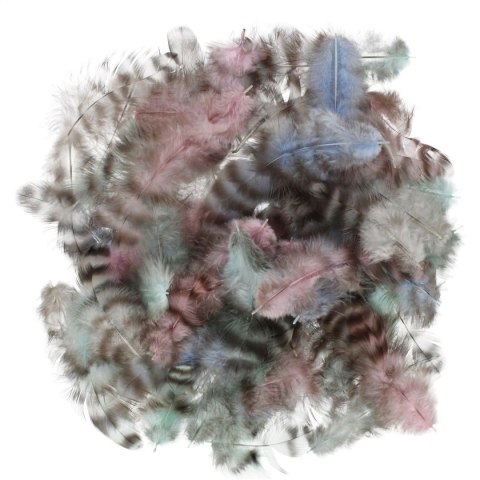 Piórka mix Craft With Fun (545789)
