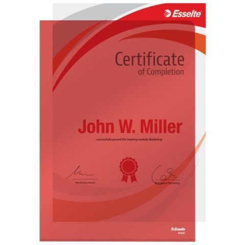 Ofertówka A4 kolor: czerwony typu L 150 mic. Esselte (55433)