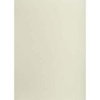 Brystol szary jasny B1 SZARY 225g 1k Creatinio (400150253)