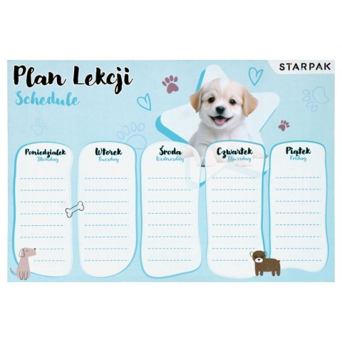 Plan lekcji Pies Starpak (560056)