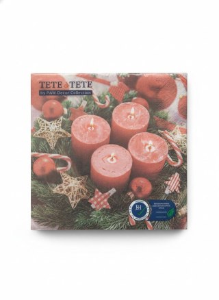 Serwetki BN Santa Claus with Gifts mix papier Paw (TL235700)