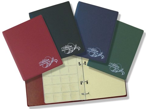 Klaser numizmatyczny FOLIA mix [mm:] 175x215 Warta (112-015)