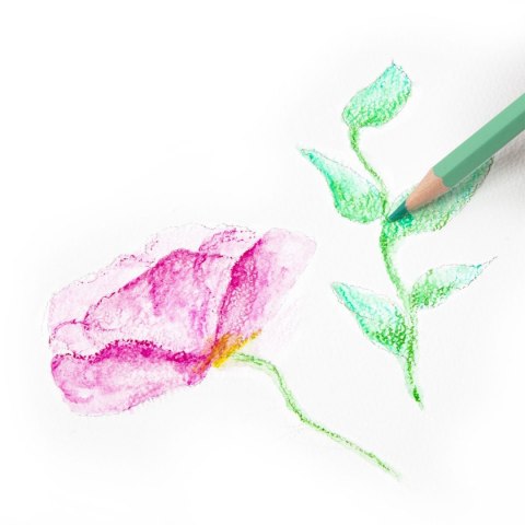 Kredki akwarelowe 24 kol. Kidea (KAMP24KA)