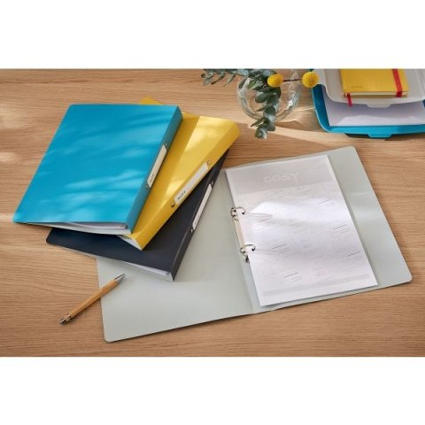 Segregator ringowy Cosy A4 32mm szary Leitz (42380089)