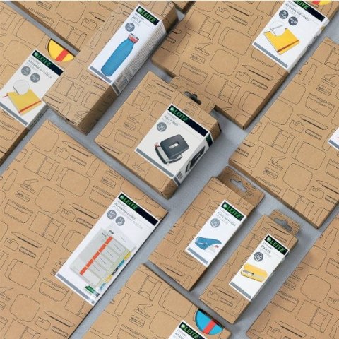 Segregator ringowy Cosy A4 32mm szary Leitz (42380089)