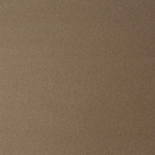 Papier ozdobny (wizytówkowy) A4 kraft beżowy 270g Argo (207426)