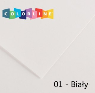 Brystol Colorline 01 biały 150g 10k [mm:] 500x650 Canson (200041377)