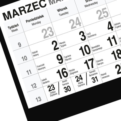 Kalendarz ścienny GÓRY A5 250mm x 450mm Press