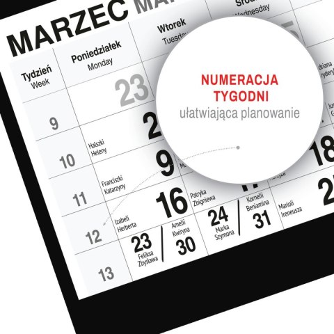 Kalendarz ścienny GÓRY A5 250mm x 450mm Press