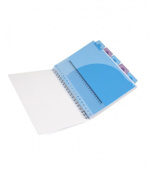 Kołobrulion B5 Disney 100k. 80g krata Patio (74999PTR)