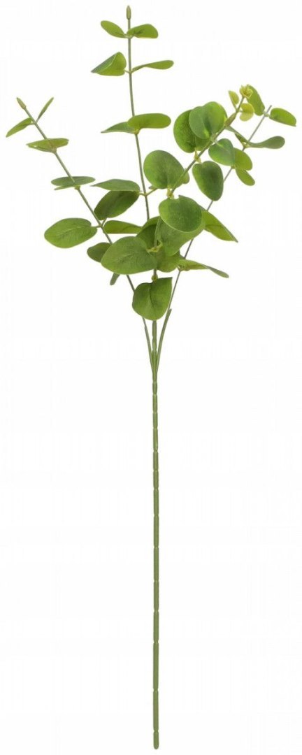 Kwiaty gałązka eukaliptus 63 cm Home And Garden (2006)