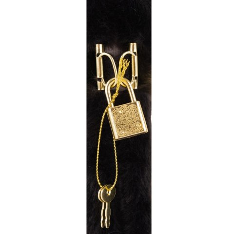 Pamiętnik A5 Fluffy Kitty Black Astrapap (101025001)