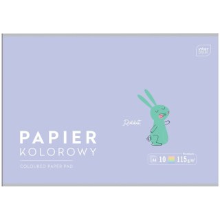 Zeszyt papierów kolorowych B&B KIDS PASTEL A4/10 5902277328649 A4 115g 10k Interdruk (115g)