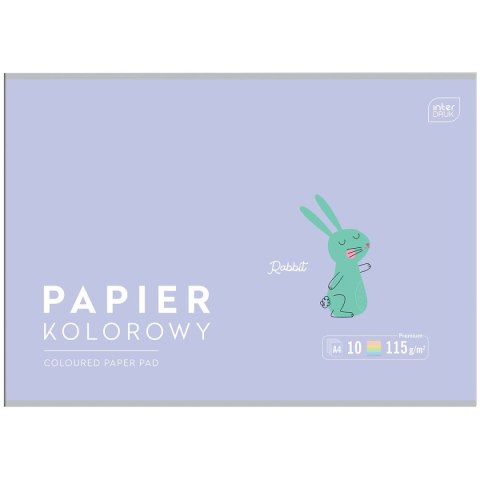 Zeszyt papierów kolorowych B&B KIDS PASTEL A4/10 5902277328649 A4 115g 10k Interdruk (115g)