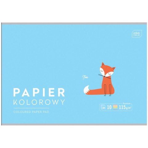 Zeszyt papierów kolorowych B&B KIDS PASTEL A4/10 5902277328649 A4 115g 10k Interdruk (115g)