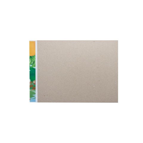 Blok rysunkowy kolorowy A4 kolorowy 16k Rexus (4409)