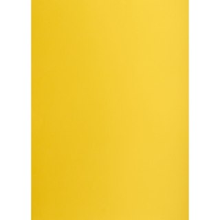 Brystol żółty ciemny B1 żółty 225g 1k Creatinio (400150257)