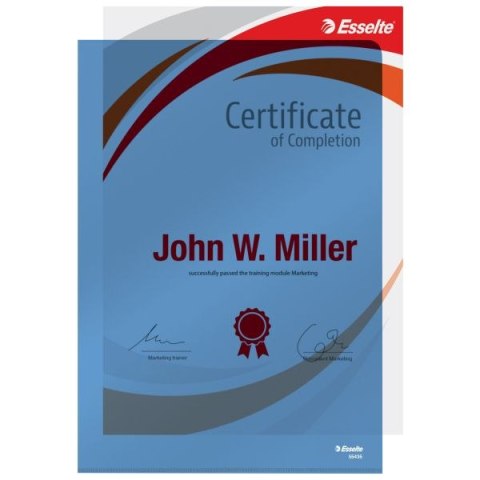 Ofertówka A4 kolor: niebieski typu L 150 mic. Esselte (55435)