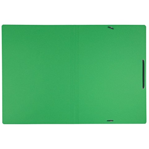 Teczka kartonowa na gumkę recycle A4 zielona 430g Leitz (39080055)