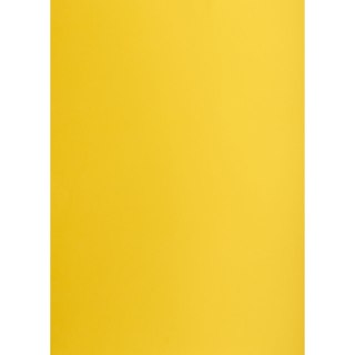 Brystol A1 ciemnożółty 160g [mm:] 610x860 Creatinio (400149526)
