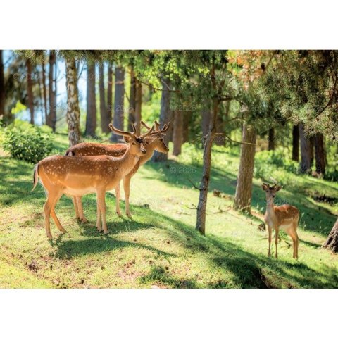 Kalendarz ścienny LEŚNI PRZYJACIELE rodzinny 2026 280mm x 400mm Lucrum (WL07)