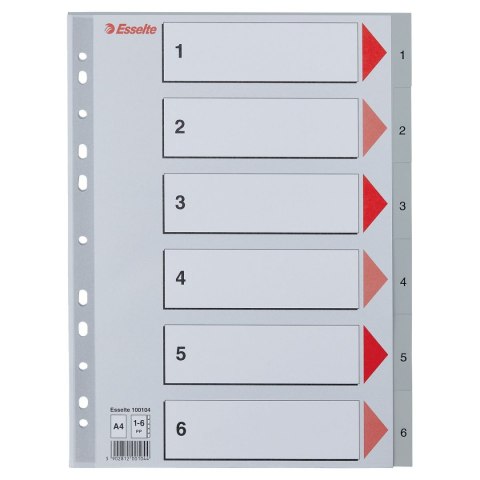 Przekładka numeryczna A4 szara 6k 1-6 Esselte (100104)