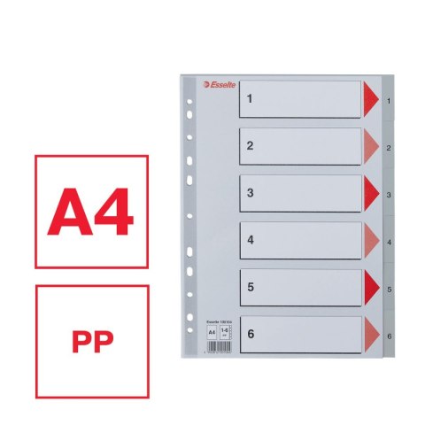 Przekładka numeryczna A4 szara 6k 1-6 Esselte (100104)