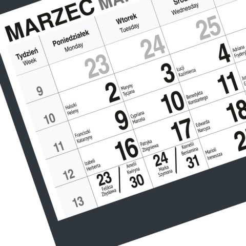 Kalendarz ścienny KOT A5 210mm x 450mm Press