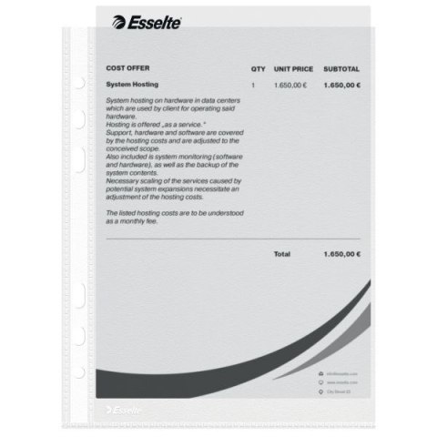 Koszulki na dokumenty A5 kolor: przezroczysty typu U 43 mic. Esselte (23782)