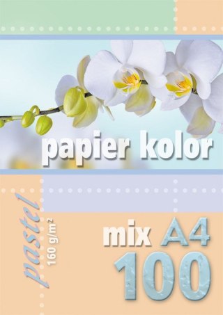 Papier kolorowy A4 mix 160g Kreska