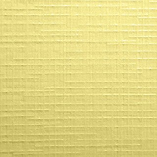 Papier ozdobny (wizytówkowy) A4 krateczka krem kremowy 246g Protos