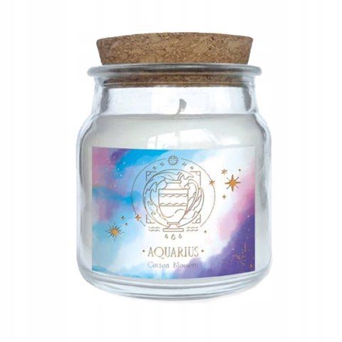 Świeca wodnik (8800131)