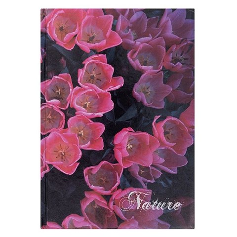 Brulion A4 Nature 96k. 55g krata Office Products (16033111-99)