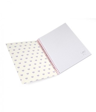 Kołobrulion B5 Disney 100k. 80g krata Patio (75026PTR)