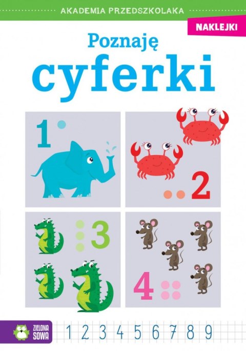 Książeczka edukacyjna Akademia przedszkolaka. Poznaję cyferki Zielona Sowa